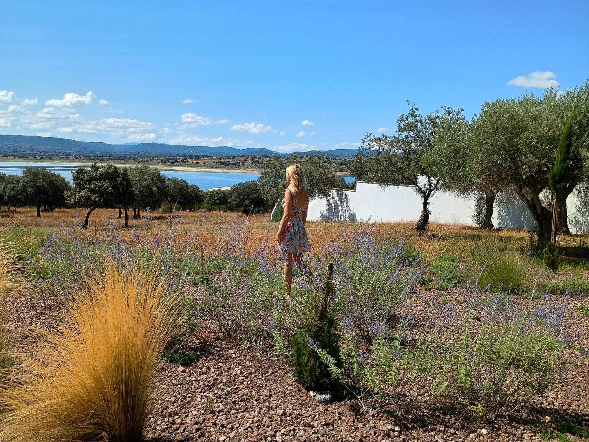 Finca Shenonkop Hotel Rural Navalmoral De La Mata Εξωτερικό φωτογραφία